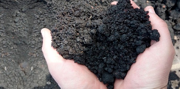 Продажа грунта